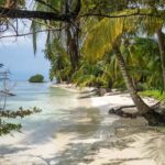 譲渡制限株式の売買価格の決定（会社法144条）