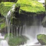 株主名簿の閲覧謄写請求権（会社法125条）